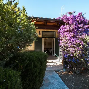 Primavera Giovinazzo